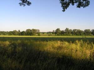 'Vichelarium' Ferienwohnung mit Charakter in künstlerischem Ambiente am